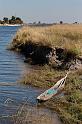 026 Chobe NP